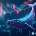 Bullish Whales Target $70k Rally